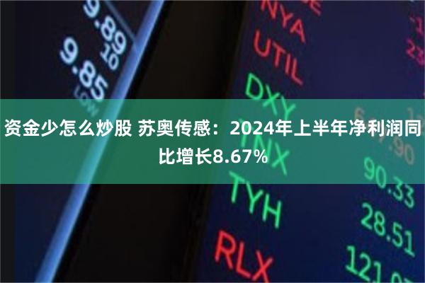 资金少怎么炒股 苏奥传感：2024年上半年净利润同比增长8.67%