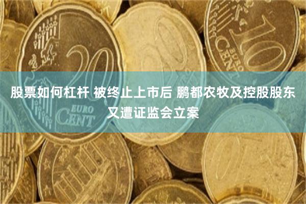 股票如何杠杆 被终止上市后 鹏都农牧及控股股东又遭证监会立案