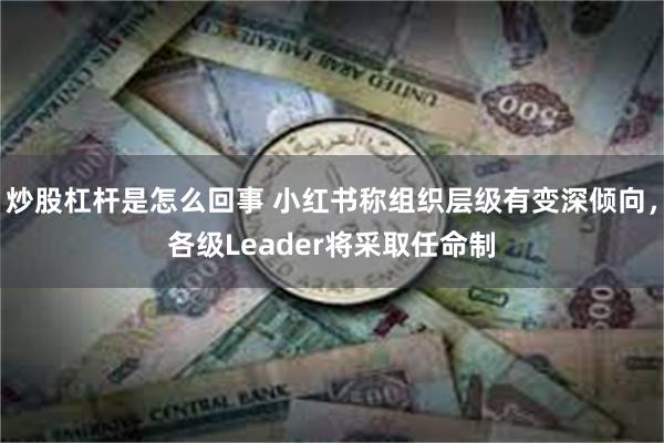 炒股杠杆是怎么回事 小红书称组织层级有变深倾向，各级Leader将采取任命制