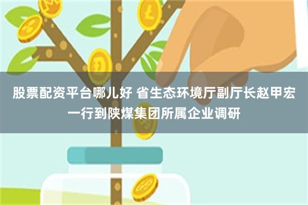 股票配资平台哪儿好 省生态环境厅副厅长赵甲宏一行到陕煤集团所属企业调研