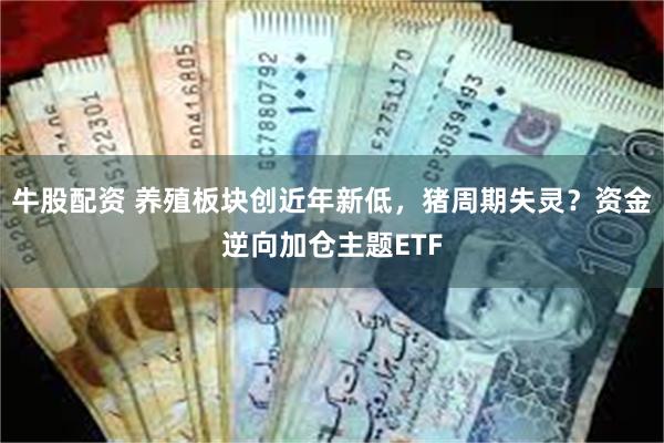 牛股配资 养殖板块创近年新低，猪周期失灵？资金逆向加仓主题ETF