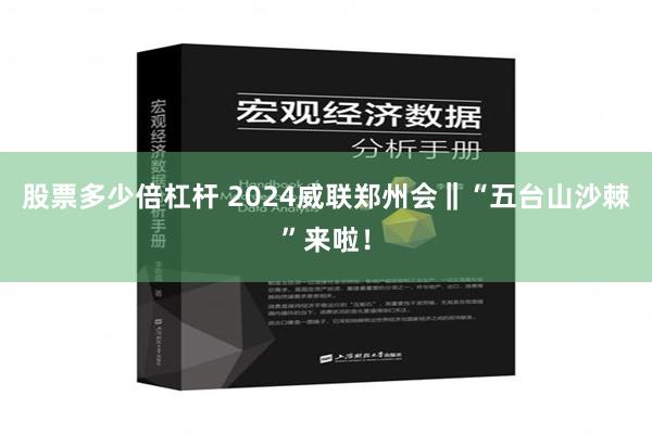 股票多少倍杠杆 2024威联郑州会‖“五台山沙棘”来啦！