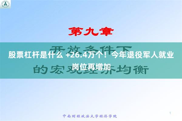 股票杠杆是什么 +26.4万个！今年退役军人就业岗位再增加