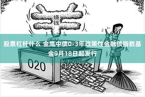 股票杠杆什么 金鹰中债0-3年政策性金融债指数基金9月18日起发行