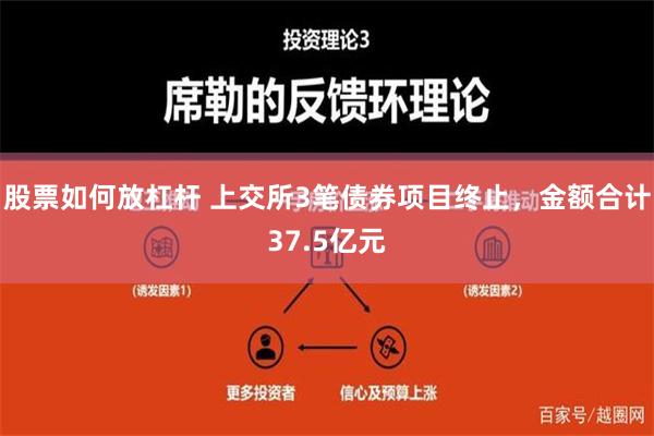 股票如何放杠杆 上交所3笔债券项目终止，金额合计37.5亿元