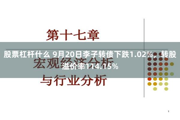 股票杠杆什么 9月20日李子转债下跌1.02%，转股溢价率114.15%