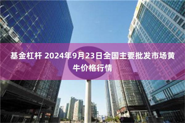 基金杠杆 2024年9月23日全国主要批发市场黄牛价格行情