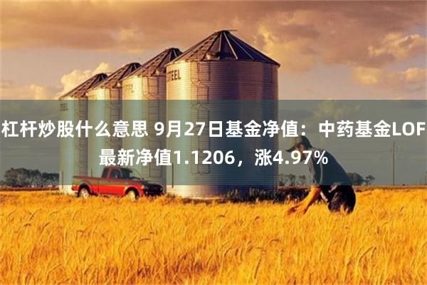 杠杆炒股什么意思 9月27日基金净值：中药基金LOF最新净值1.1206，涨4.97%