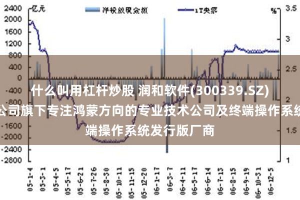 什么叫用杠杆炒股 润和软件(300339.SZ)：润开鸿是公司旗下专注鸿蒙方向的专业技术公司及终端操作系统发行版厂商