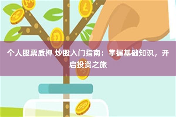 个人股票质押 炒股入门指南：掌握基础知识，开启投资之旅