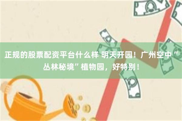 正规的股票配资平台什么样 明天开园！广州空中“丛林秘境”植物园，好特别！