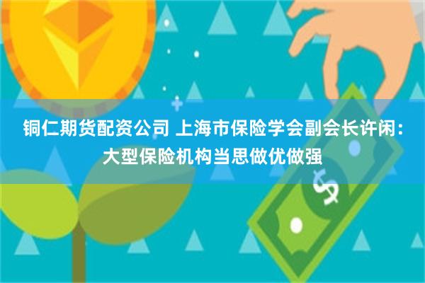 铜仁期货配资公司 上海市保险学会副会长许闲：大型保险机构当思做优做强