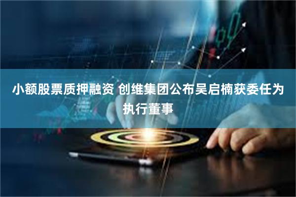 小额股票质押融资 创维集团公布吴启楠获委任为执行董事