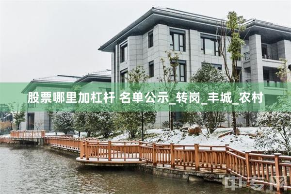 股票哪里加杠杆 名单公示_转岗_丰城_农村