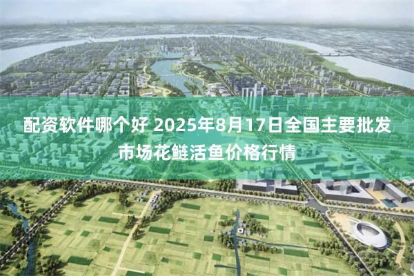 配资软件哪个好 2025年8月17日全国主要批发市场花鲢活鱼价格行情