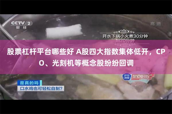 股票杠杆平台哪些好 A股四大指数集体低开，CPO、光刻机等概念股纷纷回调