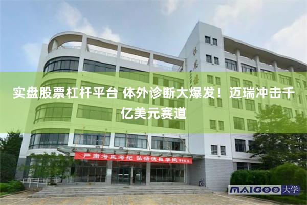 实盘股票杠杆平台 体外诊断大爆发！迈瑞冲击千亿美元赛道