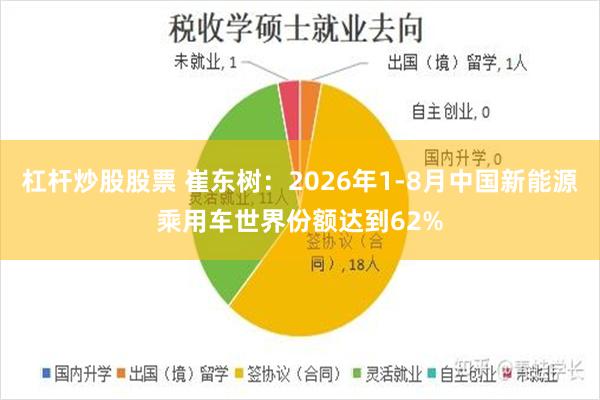 杠杆炒股股票 崔东树：2026年1-8月中国新能源乘用车世界份额达到62%